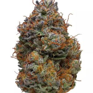 Buy-Blackberry-kush-online-in Ibiza