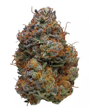 Buy-Blackberry-kush-online-in Ibiza